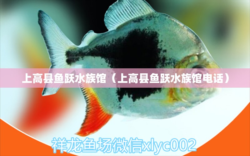 上高縣魚躍水族館（上高縣魚躍水族館電話）