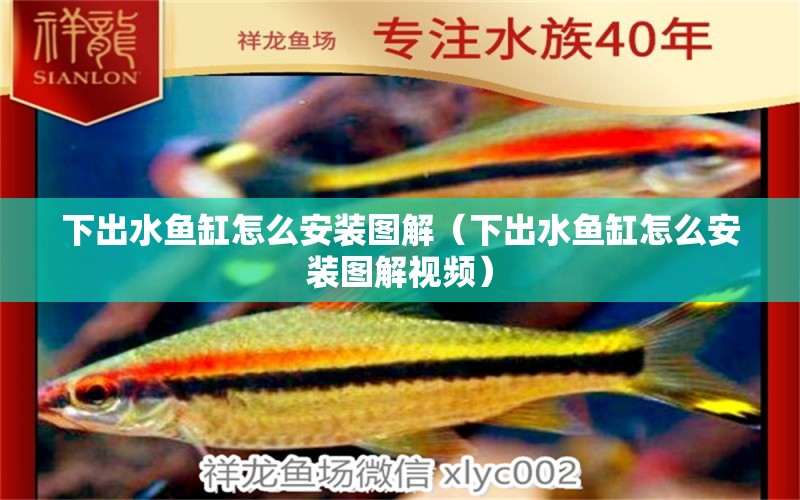 下出水魚(yú)缸怎么安裝圖解（下出水魚(yú)缸怎么安裝圖解視頻）