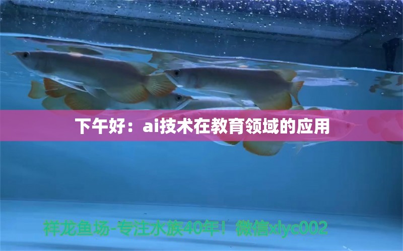 下午好：ai技術(shù)在教育領域的應用 觀賞魚論壇 第2張