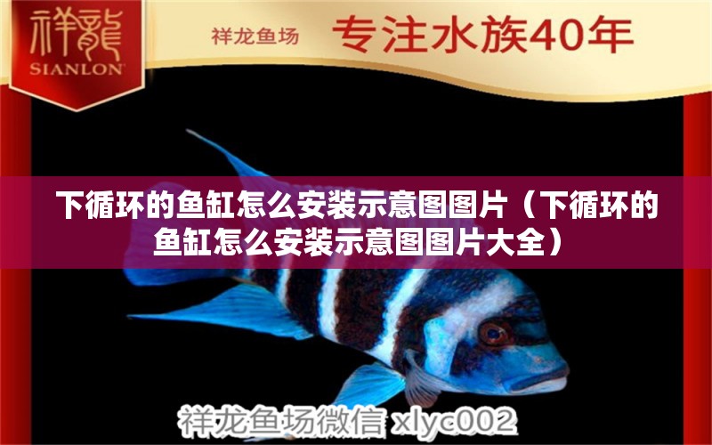 下循環(huán)的魚缸怎么安裝示意圖圖片（下循環(huán)的魚缸怎么安裝示意圖圖片大全）