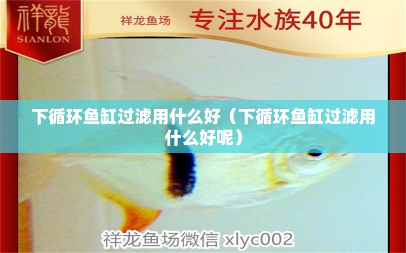 下循環(huán)魚缸過濾用什么好（下循環(huán)魚缸過濾用什么好呢）