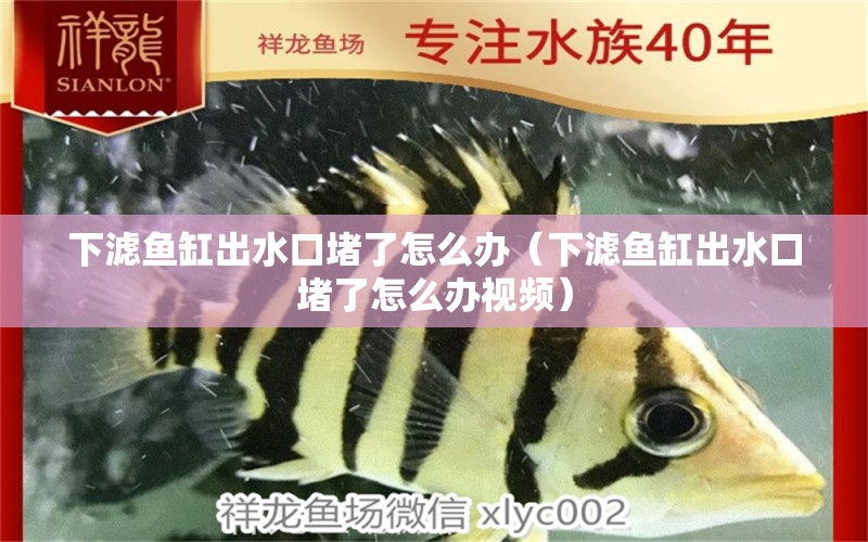 下濾魚缸出水口堵了怎么辦（下濾魚缸出水口堵了怎么辦視頻）