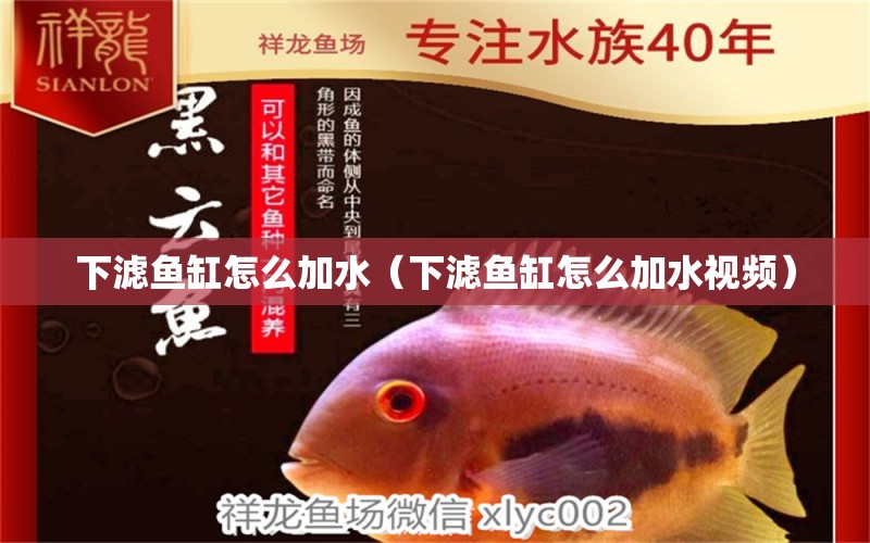 下濾魚缸怎么加水（下濾魚缸怎么加水視頻）