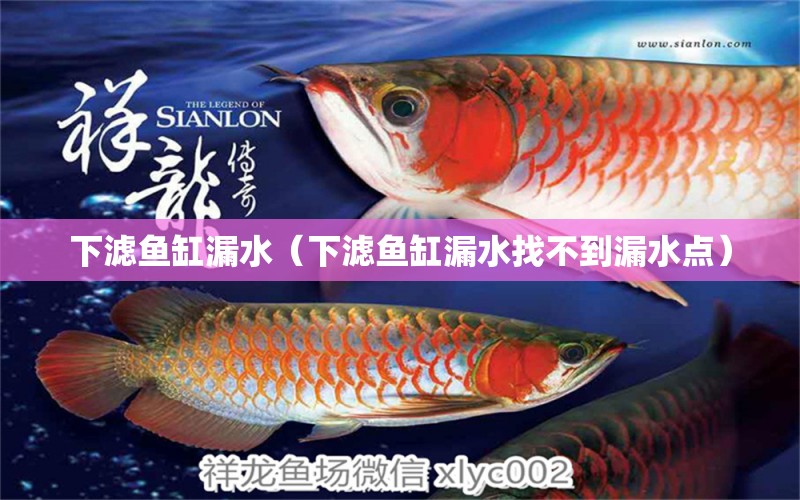 下濾魚缸漏水（下濾魚缸漏水找不到漏水點(diǎn)）