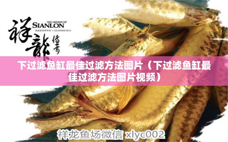 下過濾魚缸最佳過濾方法圖片（下過濾魚缸最佳過濾方法圖片視頻）