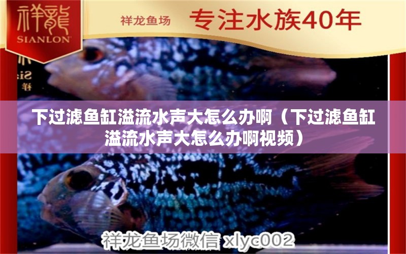 下過濾魚缸溢流水聲大怎么辦?。ㄏ逻^濾魚缸溢流水聲大怎么辦啊視頻） 造景/裝飾