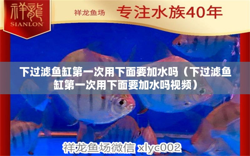 下過(guò)濾魚(yú)缸第一次用下面要加水嗎（下過(guò)濾魚(yú)缸第一次用下面要加水嗎視頻）