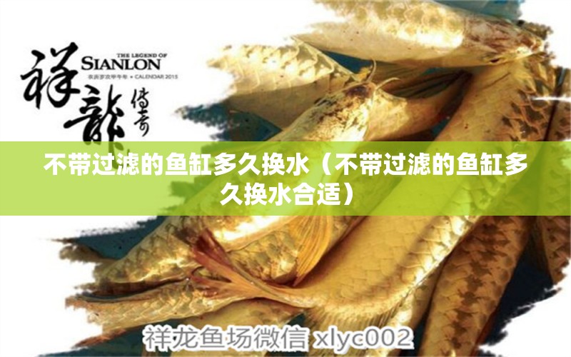 不帶過濾的魚缸多久換水（不帶過濾的魚缸多久換水合適）