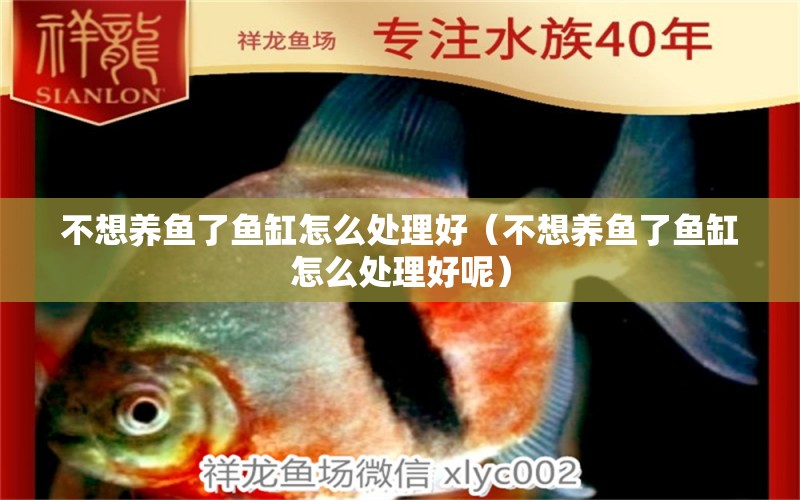 不想養(yǎng)魚了魚缸怎么處理好（不想養(yǎng)魚了魚缸怎么處理好呢）