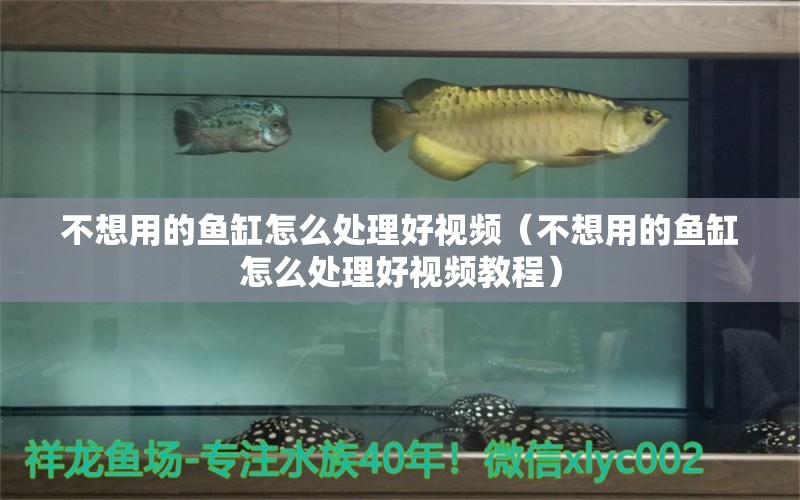 不想用的魚缸怎么處理好視頻（不想用的魚缸怎么處理好視頻教程）