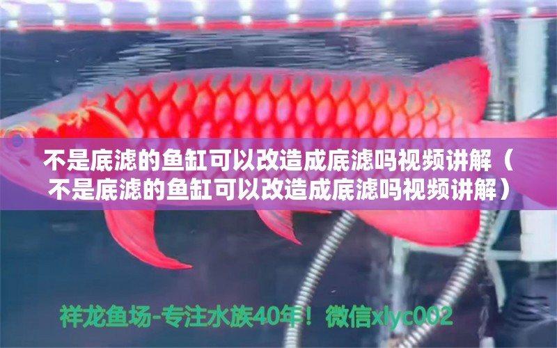 不是底濾的魚缸可以改造成底濾嗎視頻講解（不是底濾的魚缸可以改造成底濾嗎視頻講解） 觀賞魚市場(chǎng)（混養(yǎng)魚）