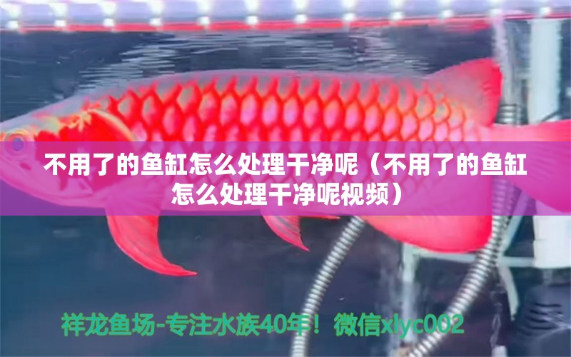 不用了的魚缸怎么處理干凈呢（不用了的魚缸怎么處理干凈呢視頻）