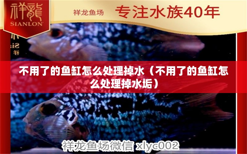 不用了的魚缸怎么處理掉水（不用了的魚缸怎么處理掉水垢）