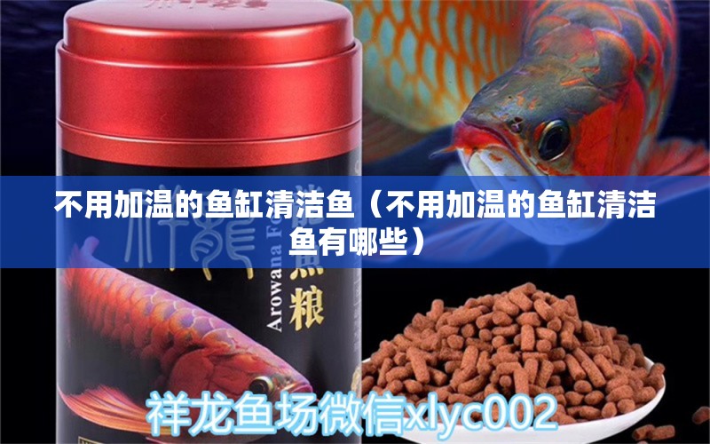 不用加溫的魚(yú)缸清潔魚(yú)（不用加溫的魚(yú)缸清潔魚(yú)有哪些）