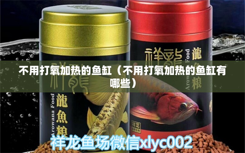 不用打氧加熱的魚缸（不用打氧加熱的魚缸有哪些）