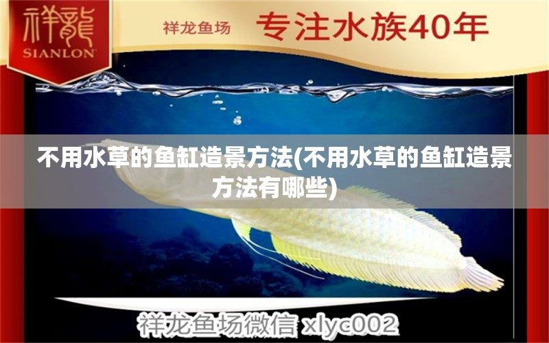 不用水草的魚缸造景方法(不用水草的魚缸造景方法有哪些)