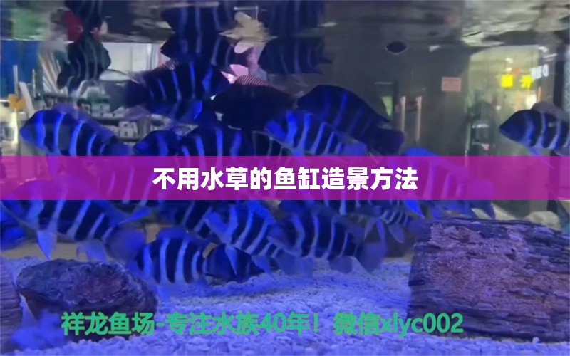 不用水草的魚缸造景方法