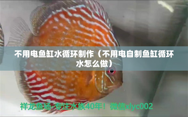 不用電魚缸水循環(huán)制作（不用電自制魚缸循環(huán)水怎么做）