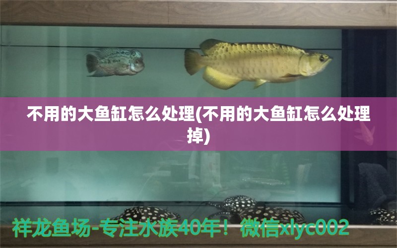 不用的大魚缸怎么處理(不用的大魚缸怎么處理掉) 沖氧泵