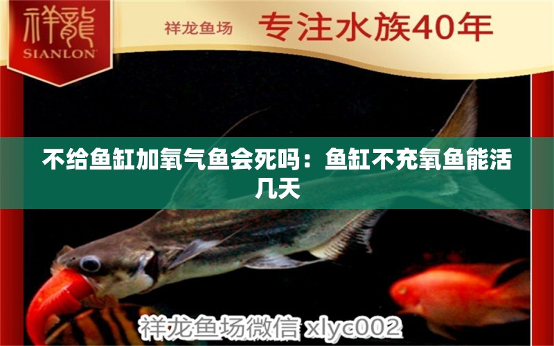 不給魚(yú)缸加氧氣魚(yú)會(huì)死嗎：魚(yú)缸不充氧魚(yú)能活幾天 招財(cái)戰(zhàn)船魚(yú) 第1張