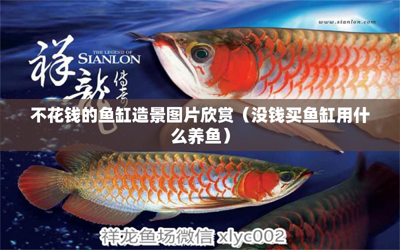 不花錢的魚缸造景圖片欣賞（沒錢買魚缸用什么養(yǎng)魚）