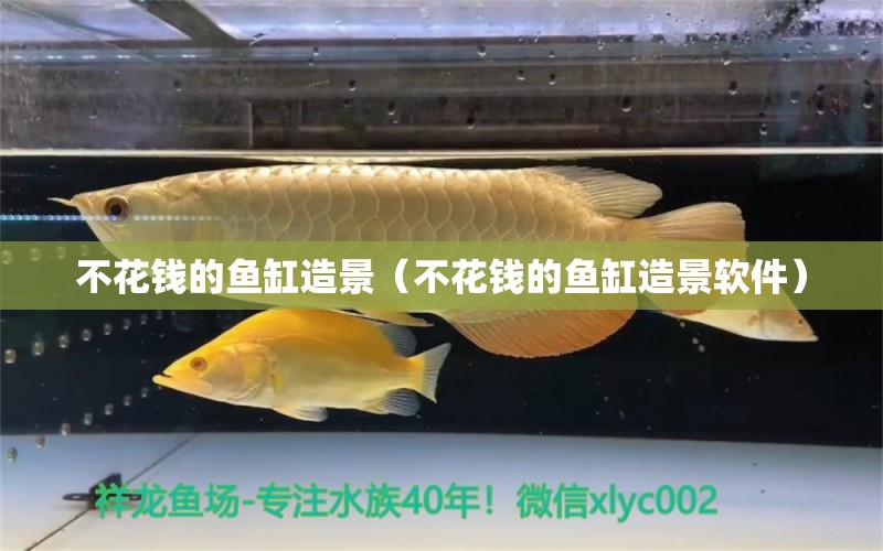 不花錢的魚缸造景（不花錢的魚缸造景軟件）