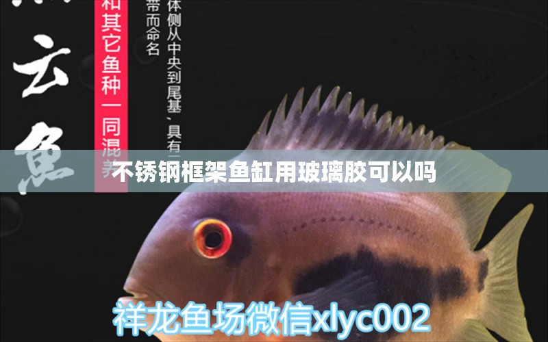 不銹鋼框架魚缸用玻璃膠可以嗎 祥龍魚場