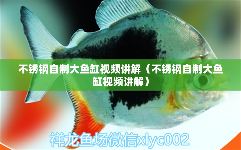 不銹鋼自制大魚缸視頻講解（不銹鋼自制大魚缸視頻講解） 鴨嘴鯊魚