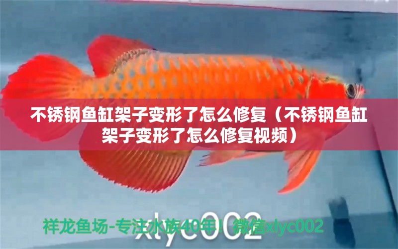 不銹鋼魚缸架子變形了怎么修復(fù)（不銹鋼魚缸架子變形了怎么修復(fù)視頻）