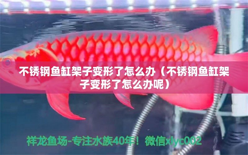 不銹鋼魚缸架子變形了怎么辦（不銹鋼魚缸架子變形了怎么辦呢）