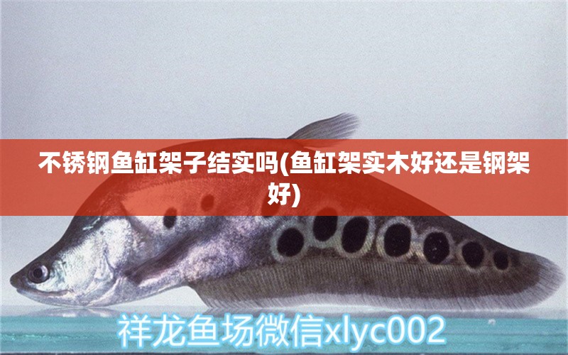 不銹鋼魚缸架子結(jié)實嗎(魚缸架實木好還是鋼架好) 紅尾平克魚