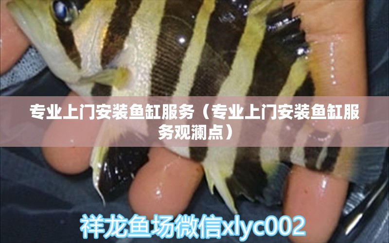 專業(yè)上門安裝魚缸服務（專業(yè)上門安裝魚缸服務觀瀾點） 觀賞魚市場（混養(yǎng)魚）