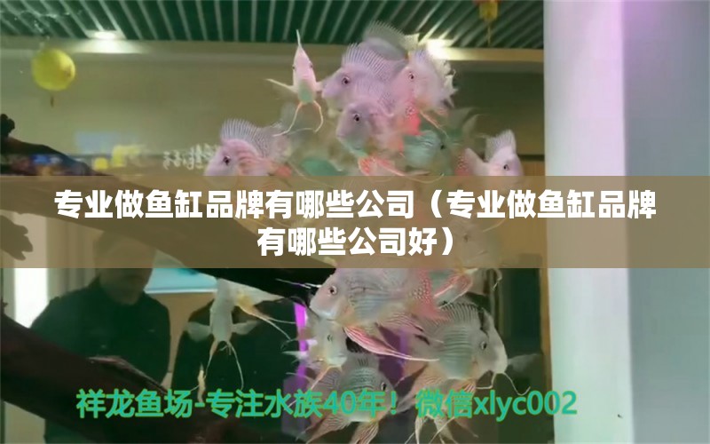 專業(yè)做魚缸品牌有哪些公司（專業(yè)做魚缸品牌有哪些公司好）