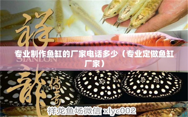 專業(yè)制作魚缸的廠家電話多少（專業(yè)定做魚缸廠家） 高背金龍魚