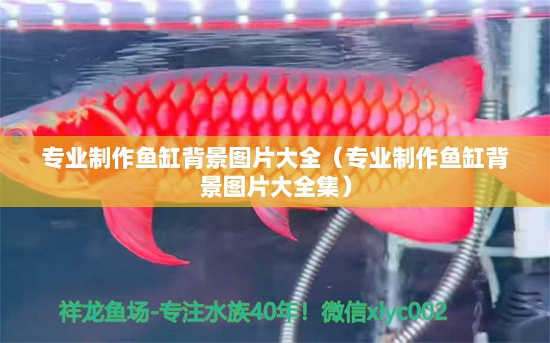 專業(yè)制作魚缸背景圖片大全（專業(yè)制作魚缸背景圖片大全集）