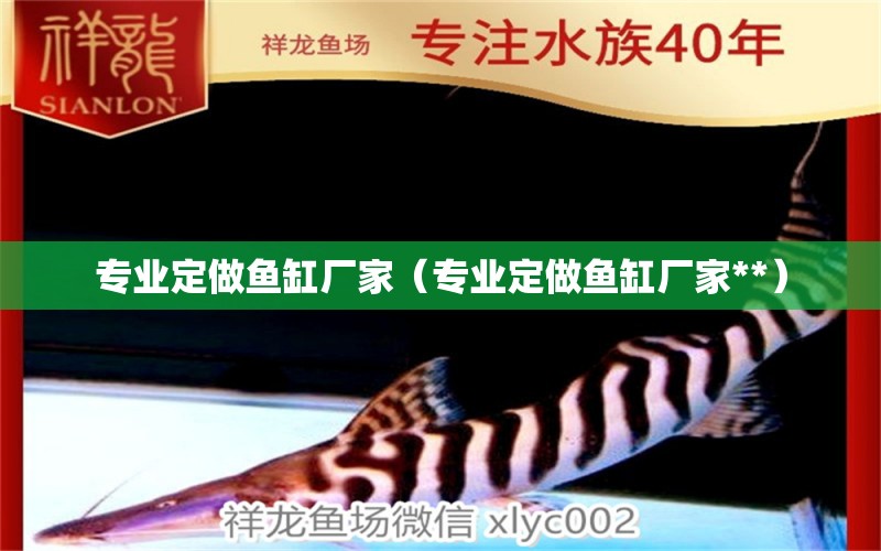 專業(yè)定做魚缸廠家（專業(yè)定做魚缸廠家**） 其他品牌魚缸