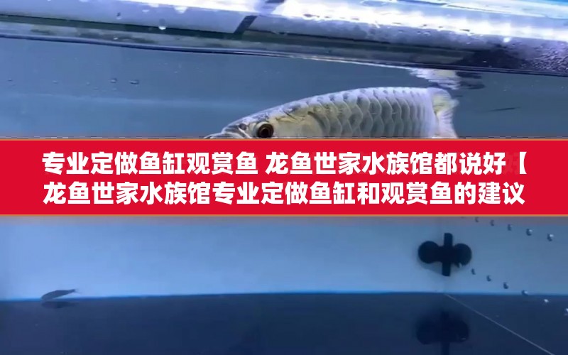 專業(yè)定做魚缸觀賞魚 龍魚世家水族館都說好【龍魚世家水族館專業(yè)定做魚缸和觀賞魚的建議和服務(wù)】 水族問答 第1張