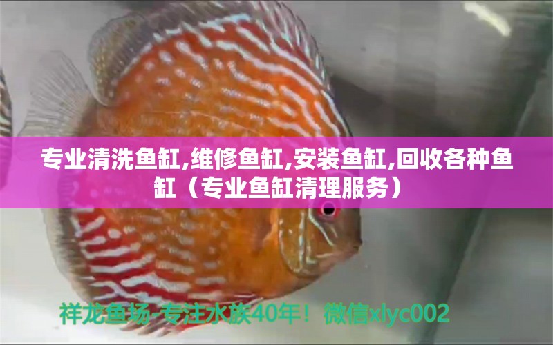 專業(yè)清洗魚缸,維修魚缸,安裝魚缸,回收各種魚缸（專業(yè)魚缸清理服務(wù)）