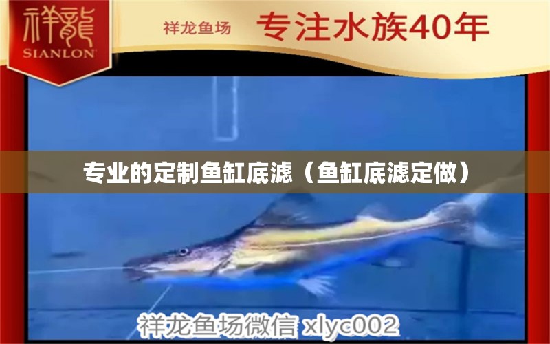 專業(yè)的定制魚缸底濾（魚缸底濾定做）