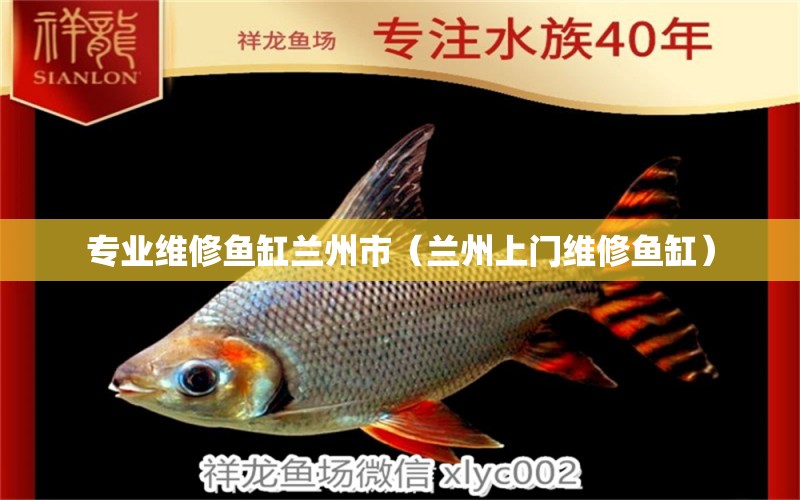 專業(yè)維修魚缸蘭州市（蘭州上門維修魚缸）