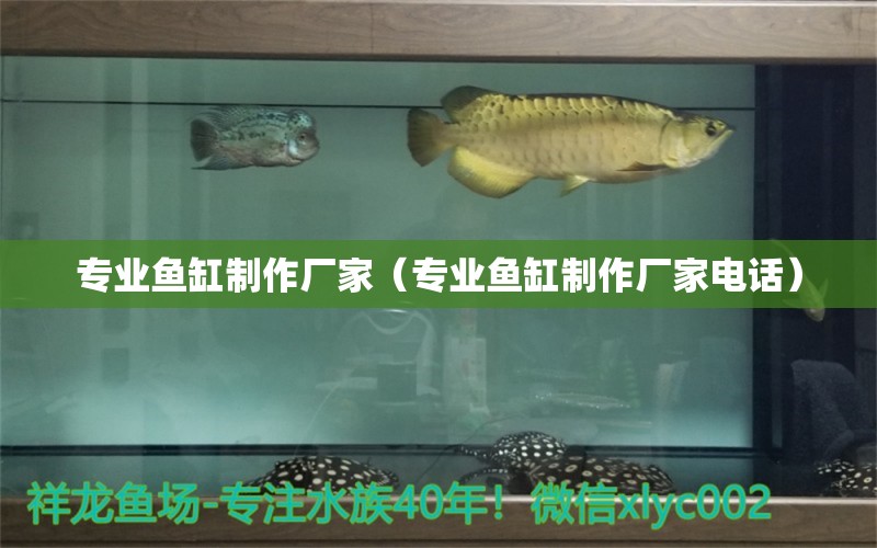 專業(yè)魚缸制作廠家（專業(yè)魚缸制作廠家電話）