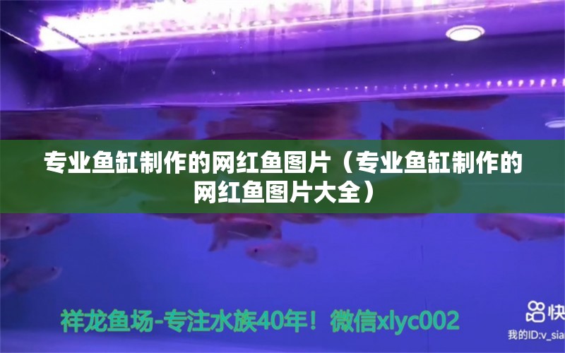 專業(yè)魚缸制作的網(wǎng)紅魚圖片（專業(yè)魚缸制作的網(wǎng)紅魚圖片大全） 祥龍水族醫(yī)院