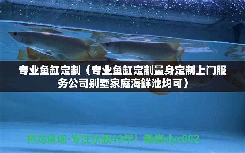 專業(yè)魚缸定制（專業(yè)魚缸定制量身定制上門服務(wù)公司別墅家庭海鮮池均可）