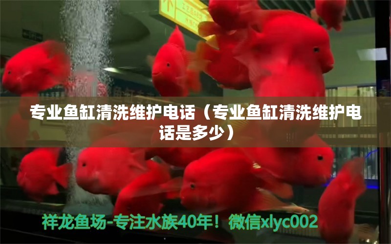 專業(yè)魚缸清洗維護(hù)電話（專業(yè)魚缸清洗維護(hù)電話是多少） 其他品牌魚缸