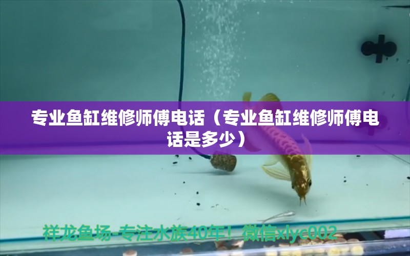 專(zhuān)業(yè)魚(yú)缸維修師傅電話（專(zhuān)業(yè)魚(yú)缸維修師傅電話是多少）