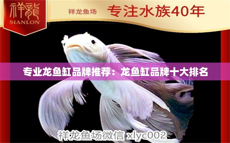 專業(yè)龍魚缸品牌推薦：龍魚缸品牌十大排名