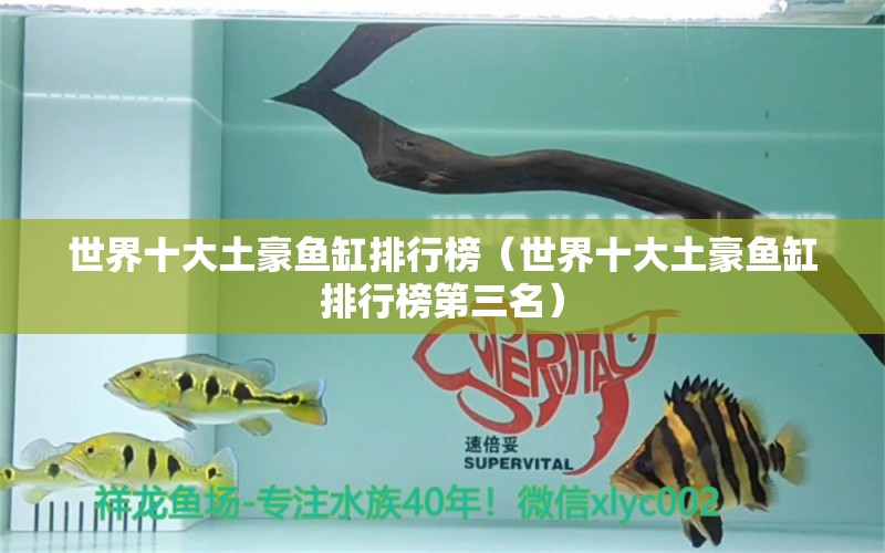 世界十大土豪魚(yú)缸排行榜（世界十大土豪魚(yú)缸排行榜第三名）