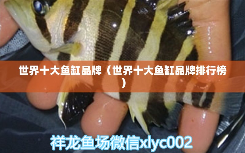 世界十大魚缸品牌（世界十大魚缸品牌排行榜）