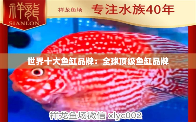 世界十大魚缸品牌：全球頂級魚缸品牌