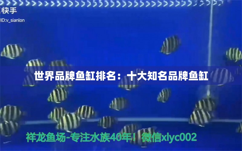 世界品牌魚缸排名：十大知名品牌魚缸 廣州龍魚批發(fā)市場(chǎng)